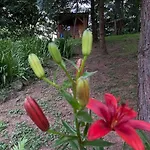 Tiny Chotevice 1 Lüks kamp alanı Kottwitz