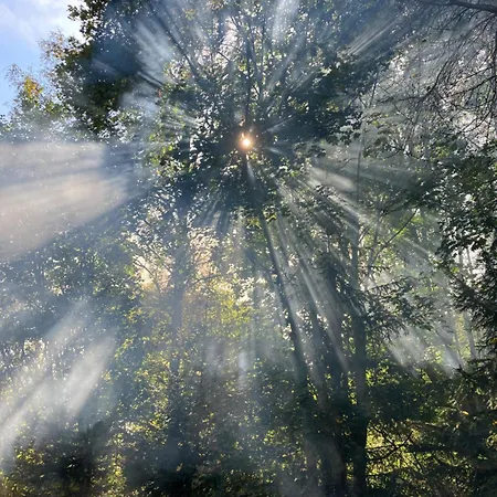 Luxuszelt Tiny Chotevice 1