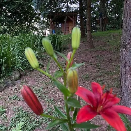 Tiny Chotevice 1 Glamping Kottwitz