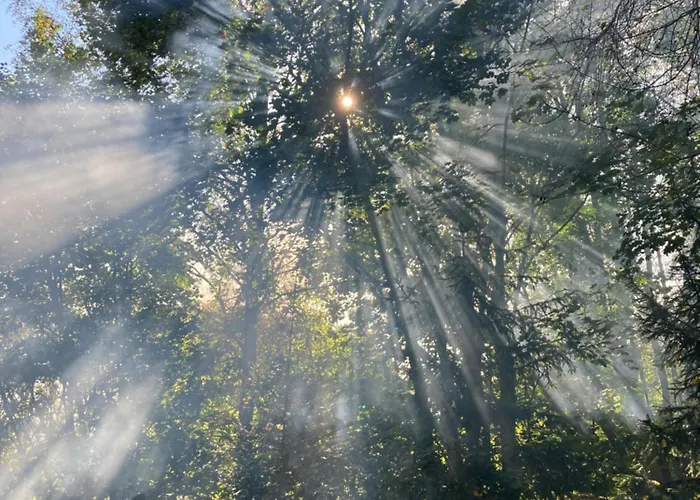 Luksusowy namiot Tiny Chotevice 1