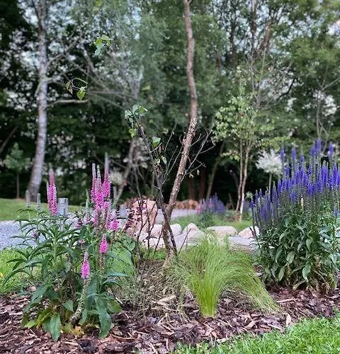 Luksusowy namiot Tiny Chotevice 1 Kottwitz