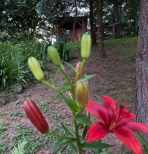 Tiny Chotevice 1 Luksusowy namiot Kottwitz